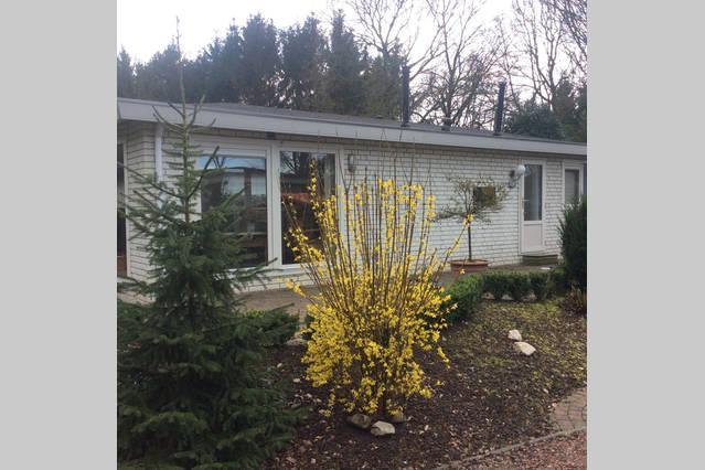 Chalet Gerda Villa Putten Kültér fotó
