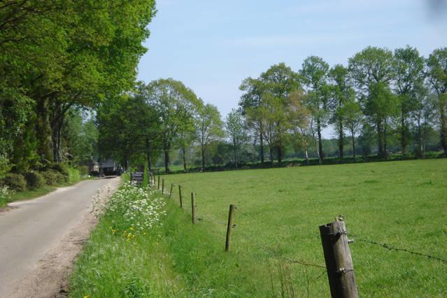Chalet Gerda Villa Putten Kültér fotó